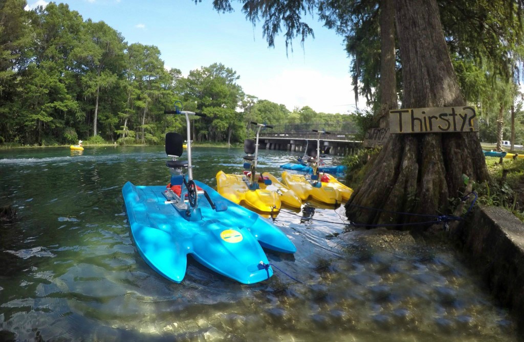 cool water bikes. 1 Person water bike pedalo and 2 Person Water Bikes for sale